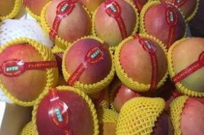 爆料吃瓜攀枝花,揭秘吃瓜群众的爆料真相